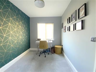 Picture 15
